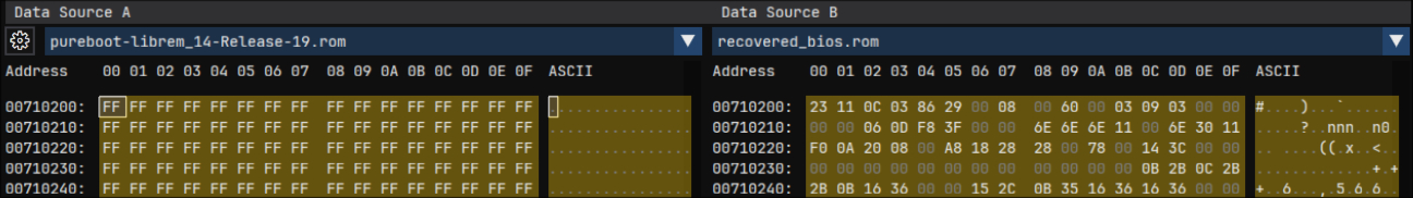 Serial Presence Detect cache
